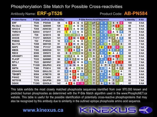 AB-PN584