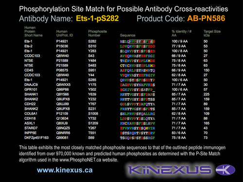 AB-PN586