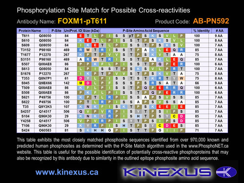 AB-PN592