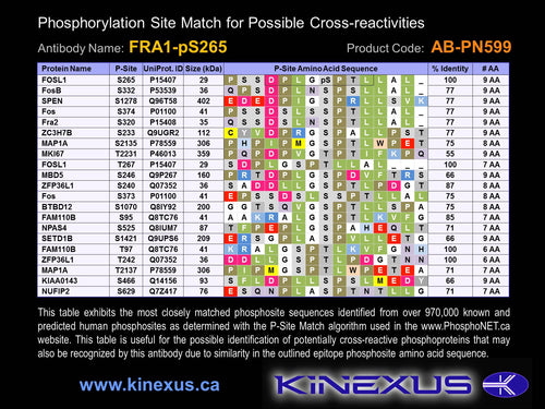 AB-PN599