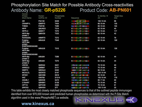 AB-PN601