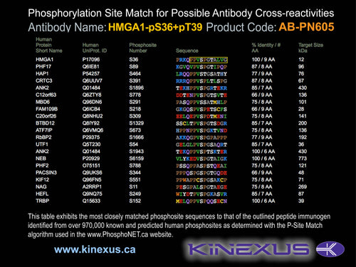 AB-PN605