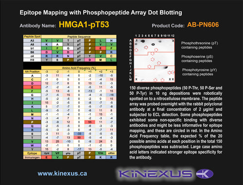 AB-PN606