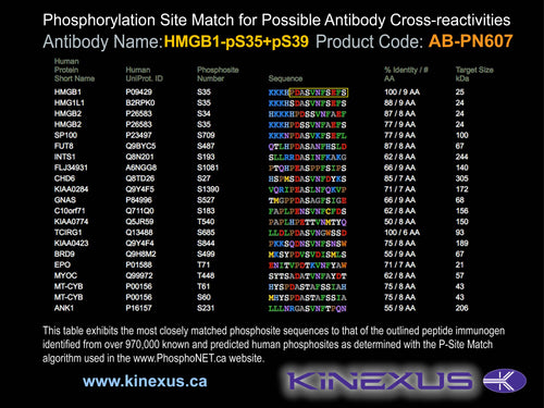 AB-PN607