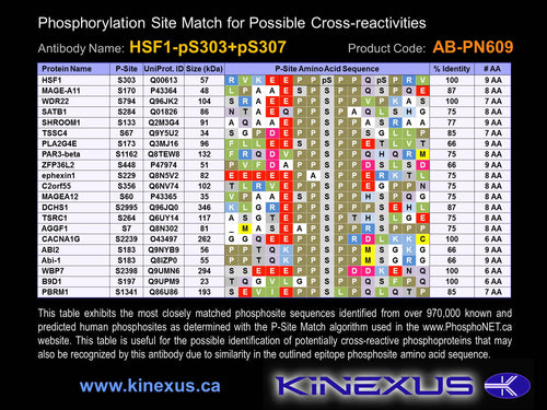 AB-PN609