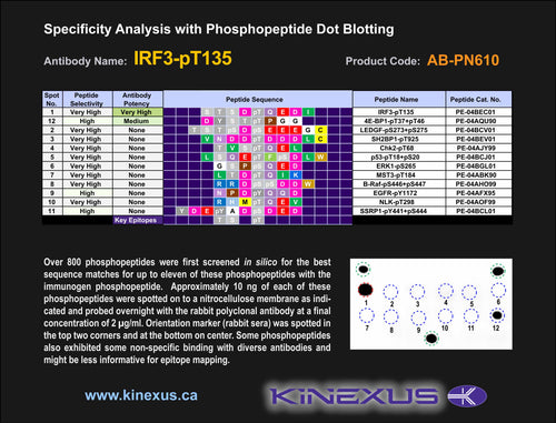 AB-PN610