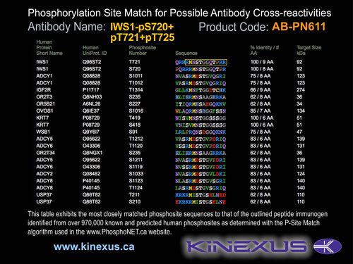 AB-PN611