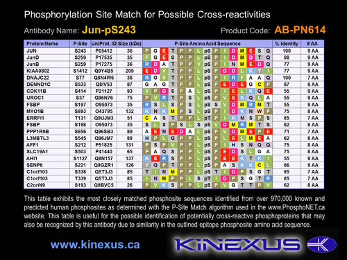 AB-PN614