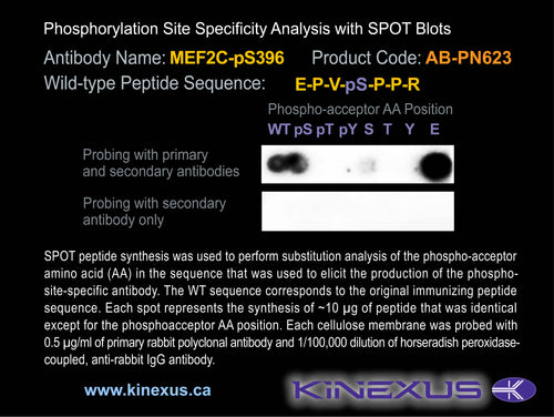 AB-PN623