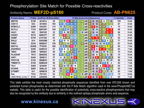 AB-PN625