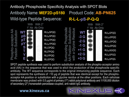 AB-PN625