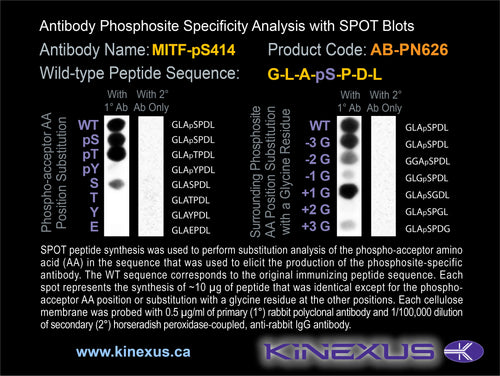 AB-PN626