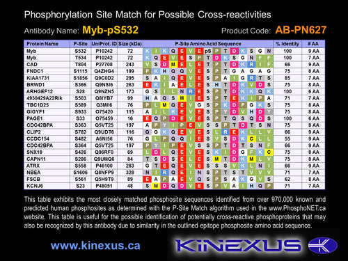 AB-PN627