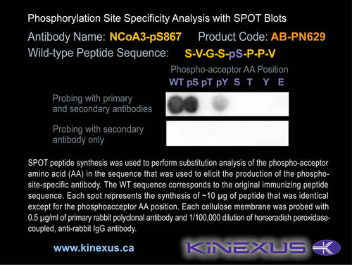 AB-PN629