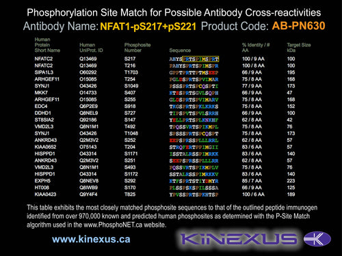 AB-PN630