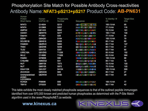 AB-PN631