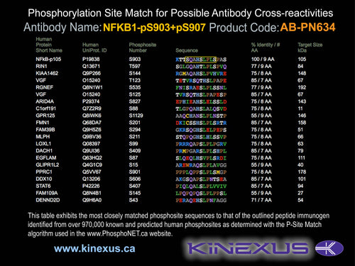 AB-PN634