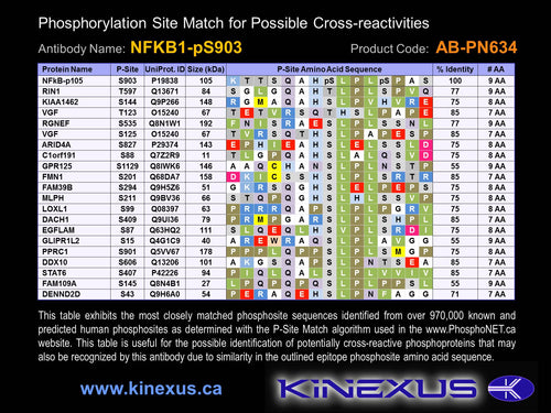 AB-PN634
