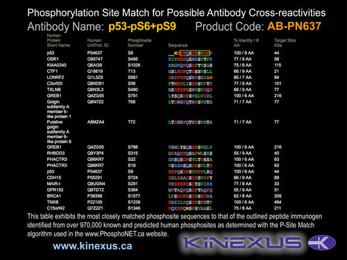 AB-PN637