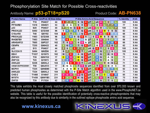 AB-PN638