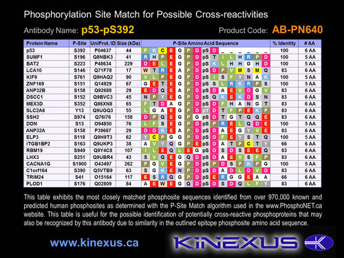 AB-PN640