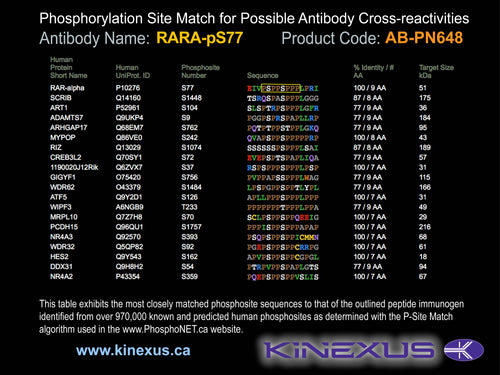 AB-PN648