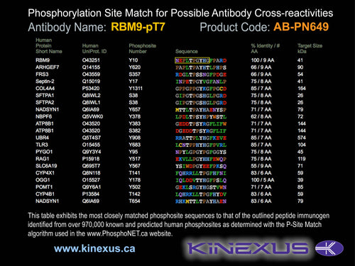 AB-PN649