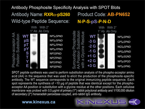 AB-PN652