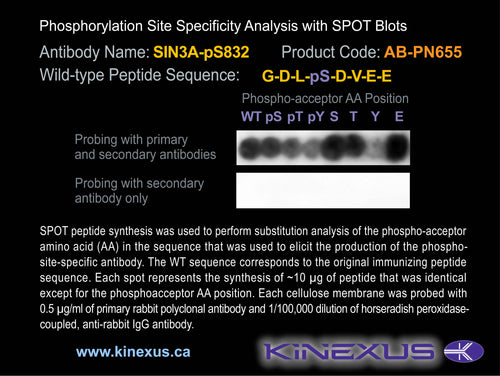 AB-PN655
