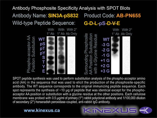 AB-PN655