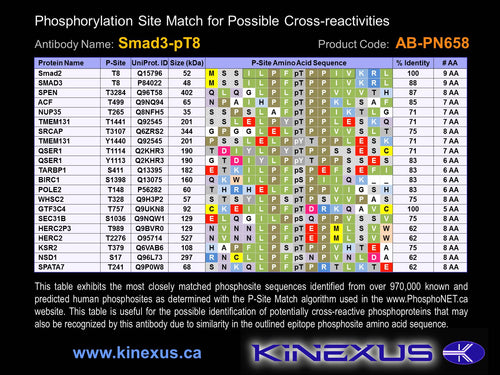 AB-PN658