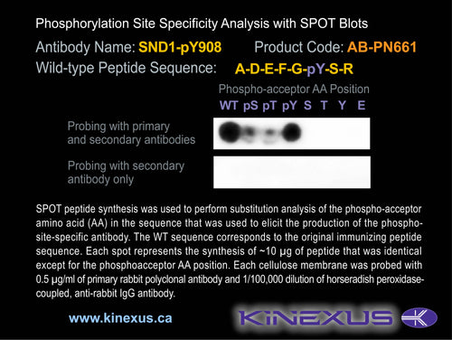 AB-PN661