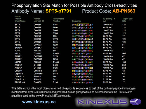 AB-PN663