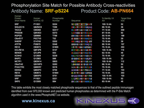 AB-PN664