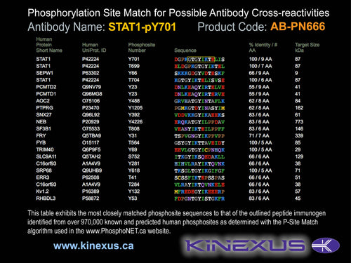 AB-PN666