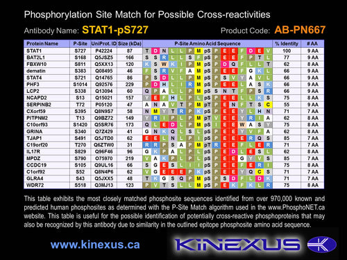 AB-PN667