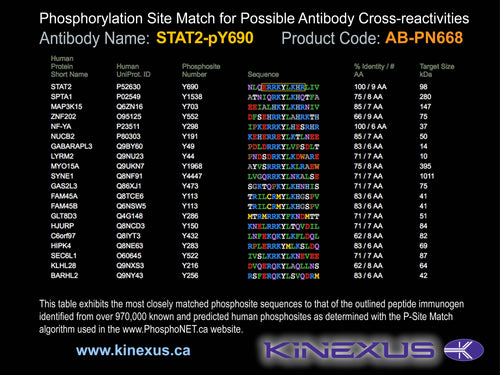 AB-PN668