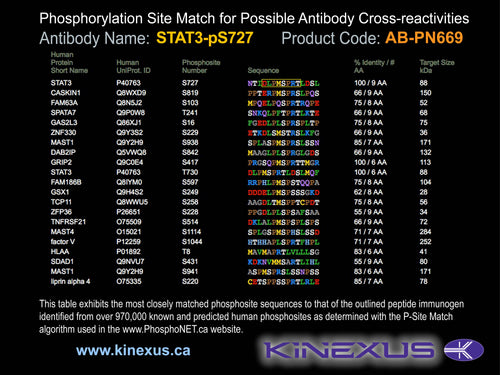 AB-PN669