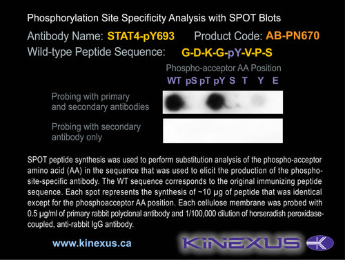 AB-PN670