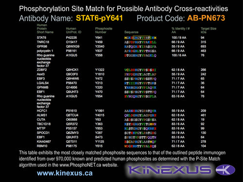 AB-PN673