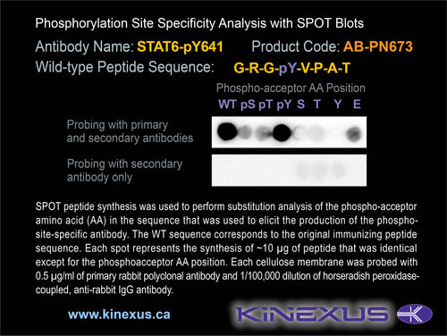 AB-PN673