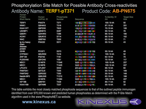 AB-PN675