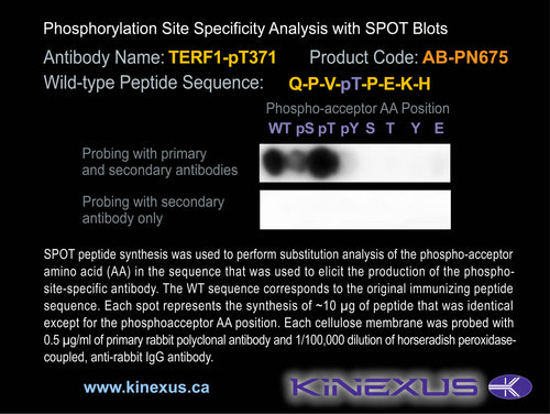 AB-PN675