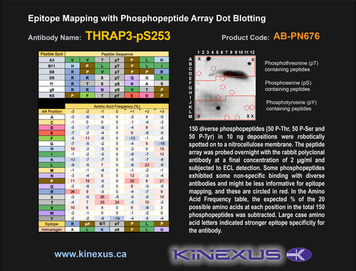 AB-PN676