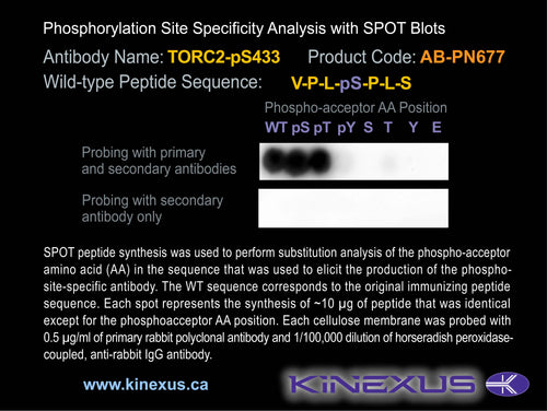 AB-PN677