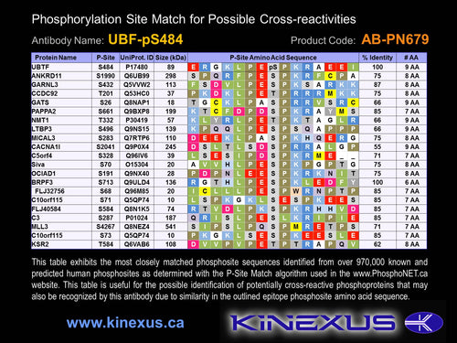 AB-PN679