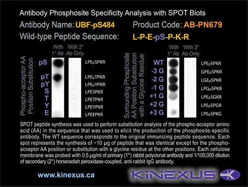 AB-PN679