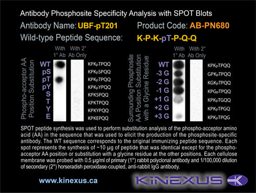 AB-PN680
