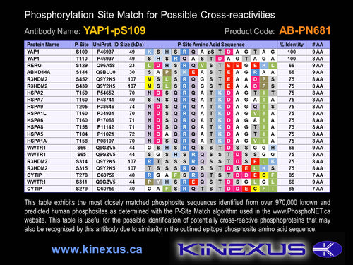 AB-PN681