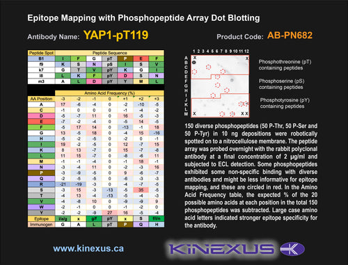 AB-PN682
